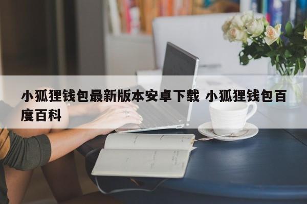 狐狸钱包怎么安装_狐狸钱包中文_